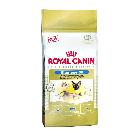Royal Canin Siamese 38 karma dla kotów syjamskich