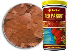 TROPICAL red parrot