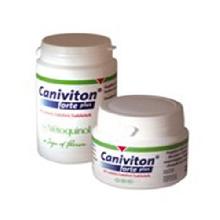 Caniviton Forte Plus 30tabl. Wspomaga funkcje chrząstki stawowej