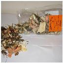 herbalpets_37-2.jpg