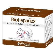 BIOWET Biohepanex kapsułki dla psów i kotów wspomagające funkcje wątroby 40kaps.