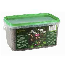 DIVERSA NutriPlant Biologiczne podłoże do akwarium 3-10L