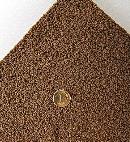 Aqua shrimp sand 1,8 kg Powder braz2.JPG
