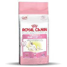 Royal Canin Babycat 34 sucha karma dla kociąt